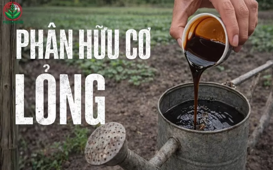 Phân hữu cơ lỏng